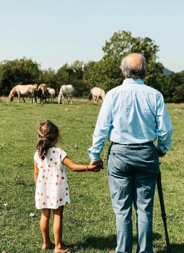 Patrimoine et Succession